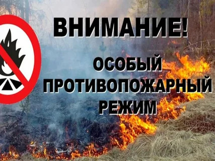 На территории Красноярского края введен особый противопожарный режим!.